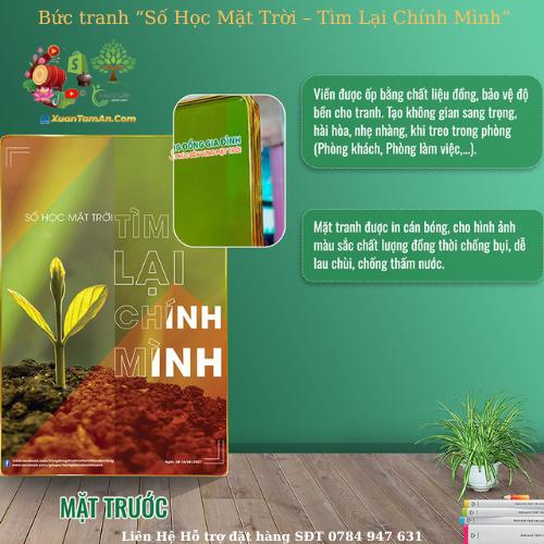 Số Học Mặt Trời – Bức Tranh Tìm Lại Chính Mình